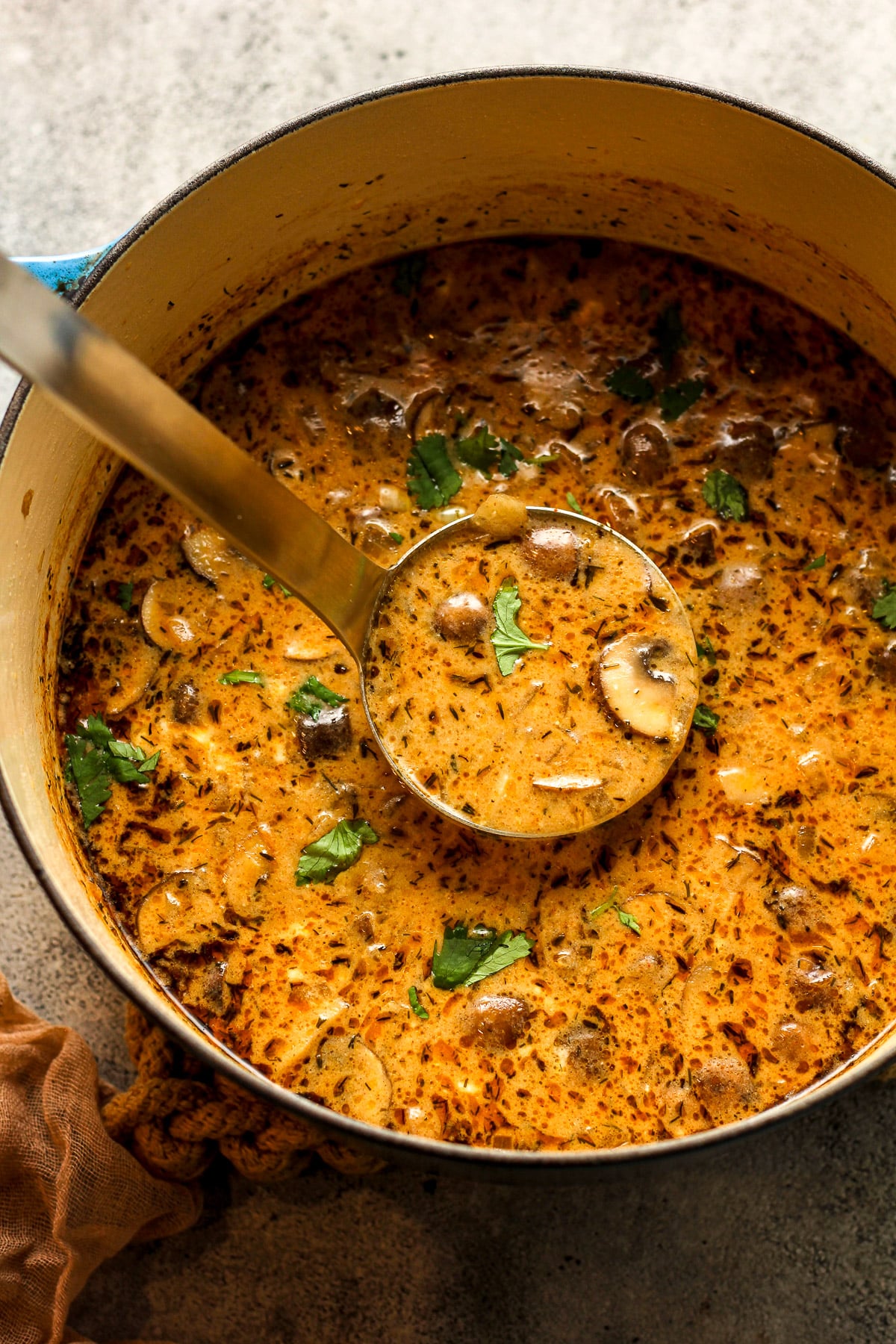 A stock pot of Hungarian mushroom soup with a soup ladle pulling upwards out of the pot.