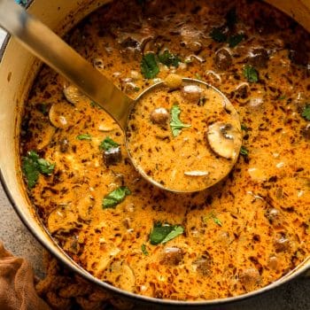 Closeup on a ladle of mushroom soup.