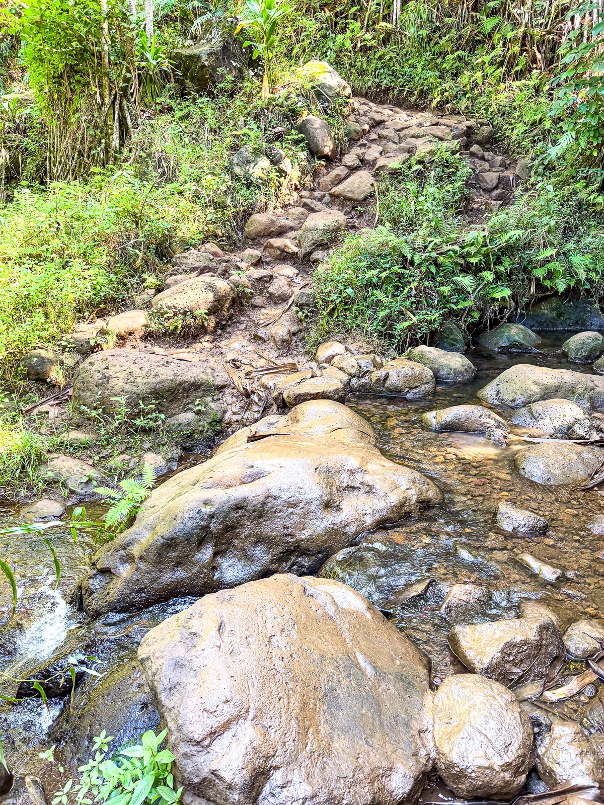 The slippery rocks that Mike hiked up on Kauai north shore.
