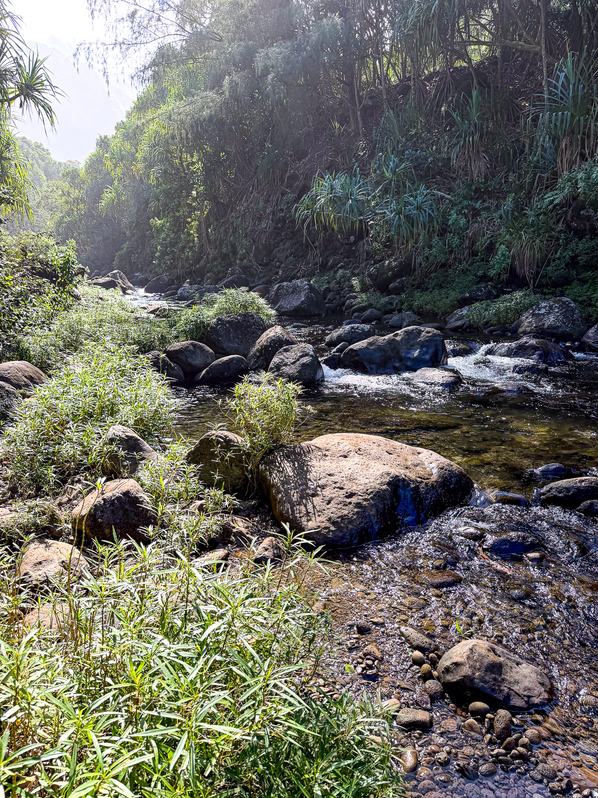 Part of the Na Pali hike that Mike did showing a river and rocks.