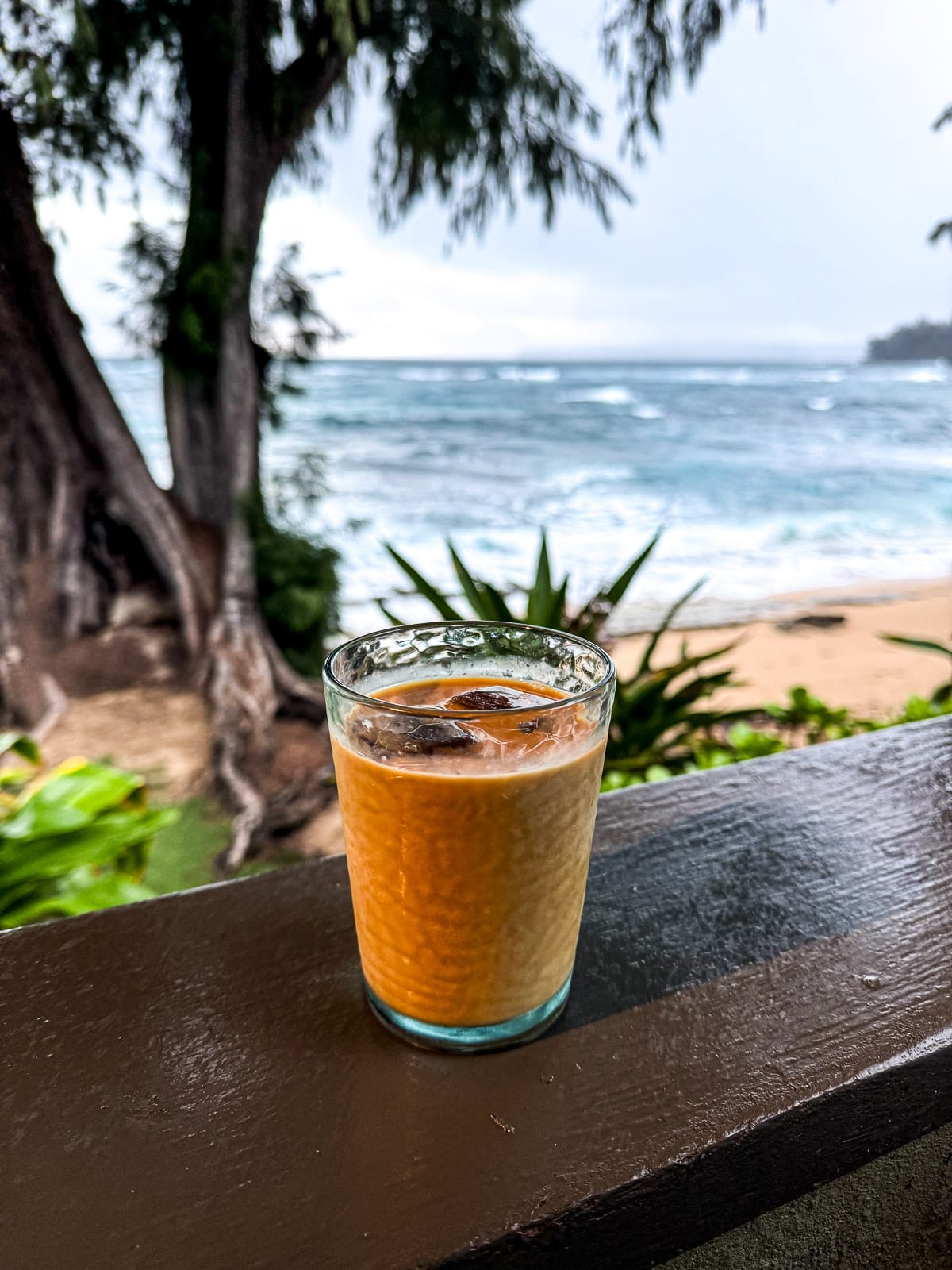 Side view of an iced coffee in front of the ocean.