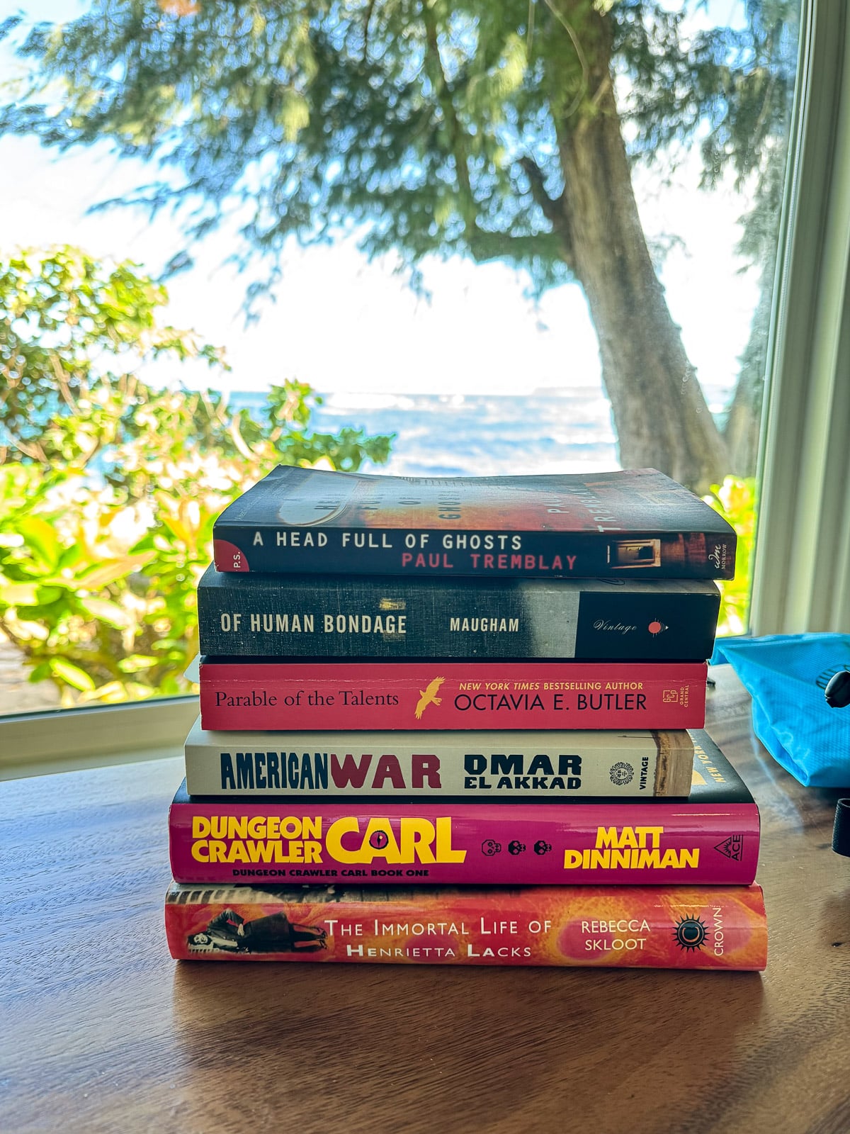 A stack of books that we packed in our suitcase for Hawaii.
