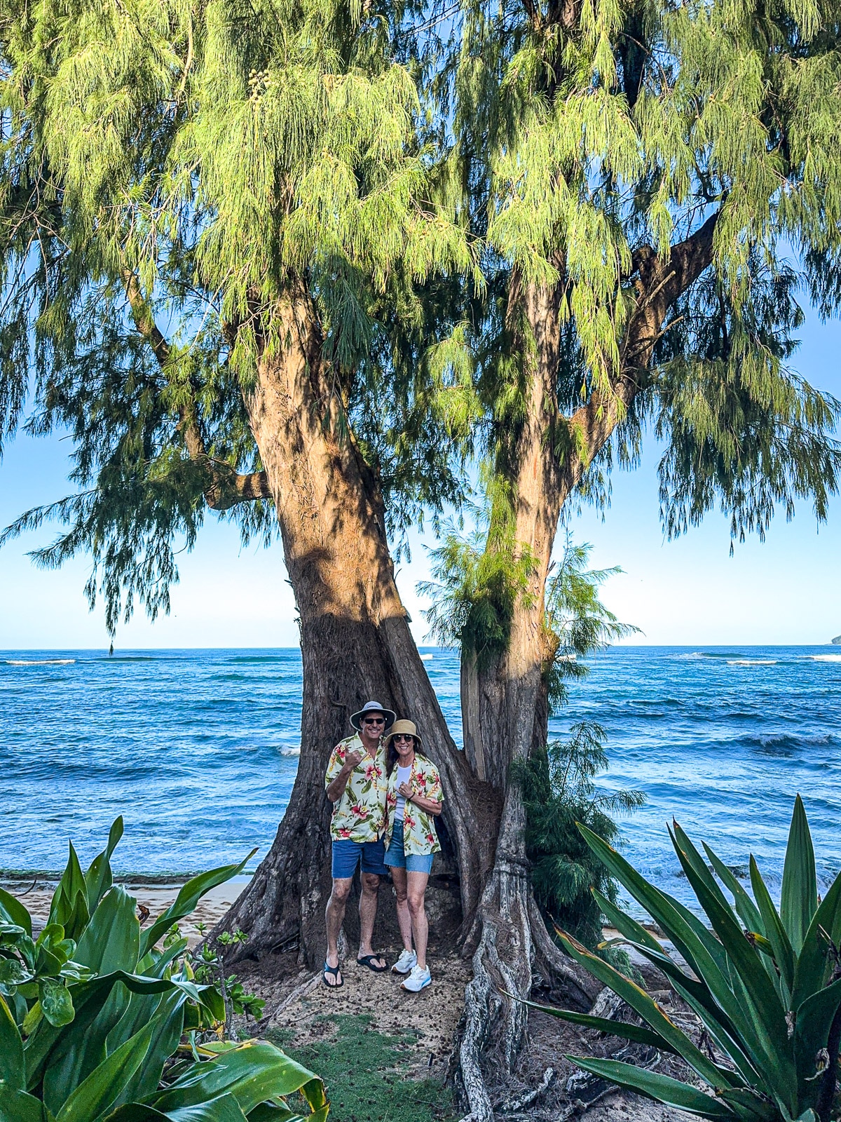 Mike and I in front of the tree with our Hawaiian shirts and hats.