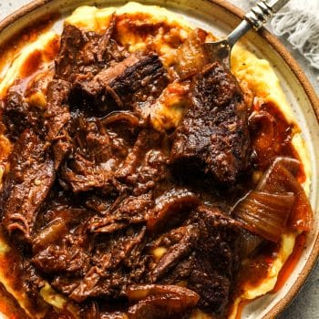 Closeup on a bowl of red wine braised beef over garlic mashed potatoes.