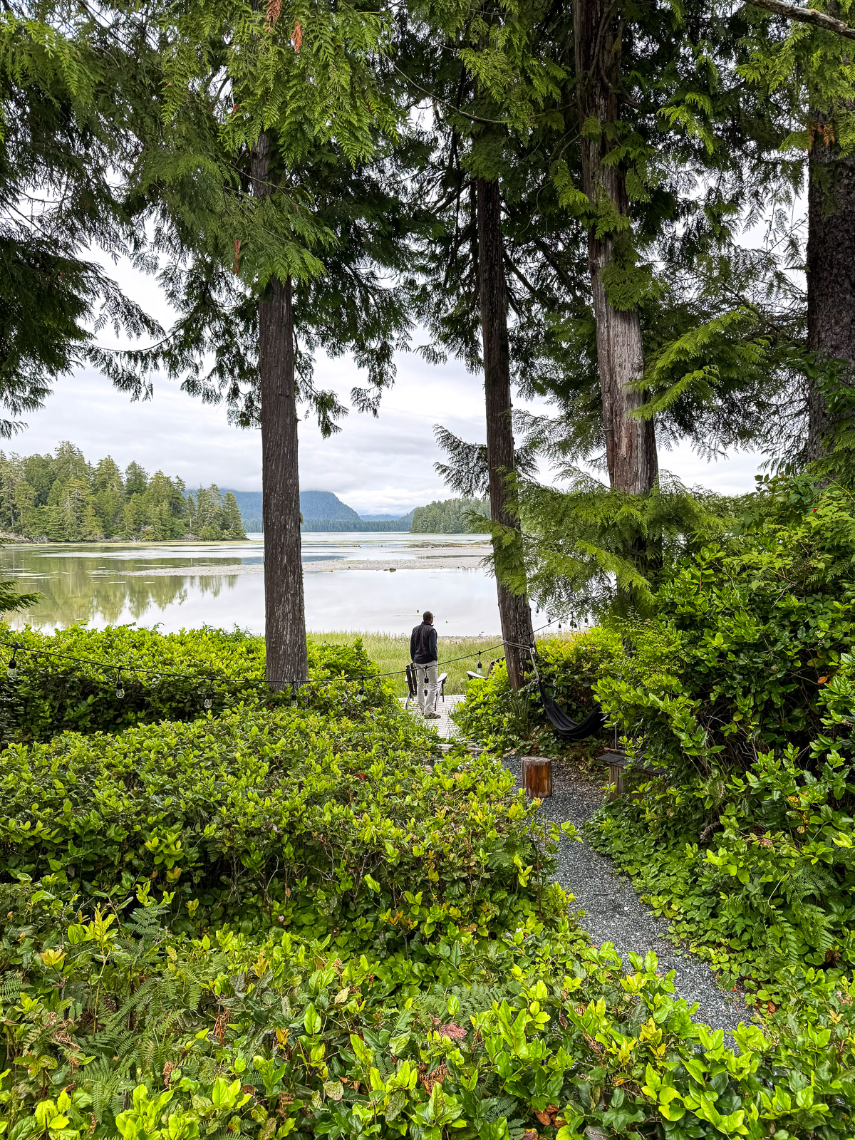 Mike looking for bears from the back side of airbnb.