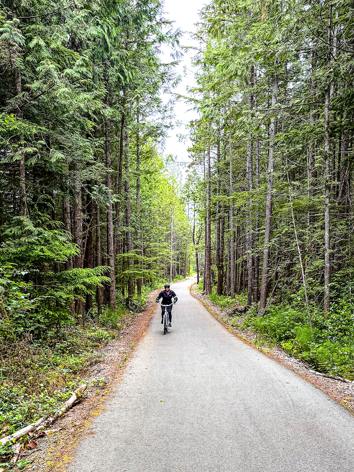 Sue on the bike path riding in the forest.