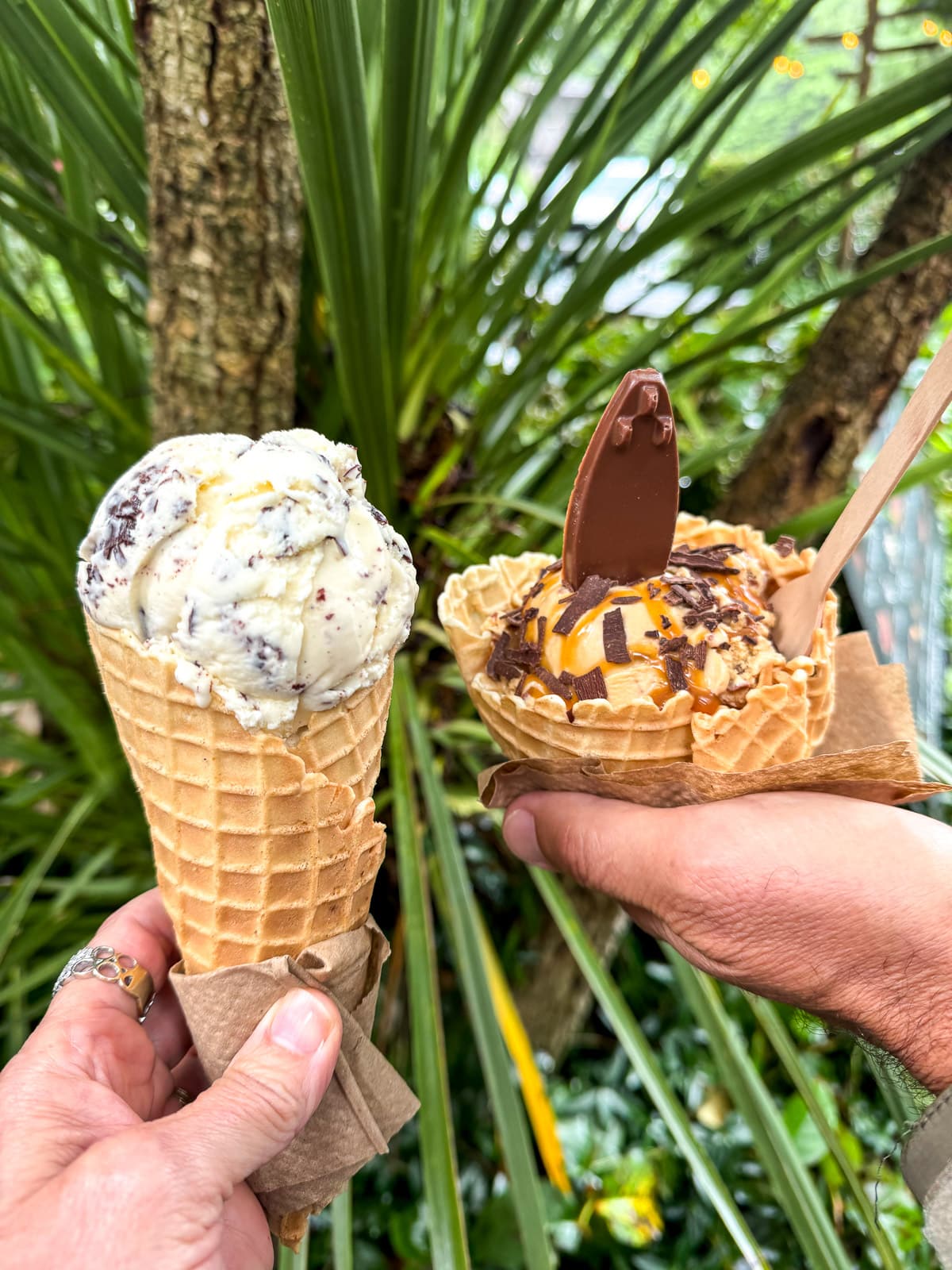 A pic of our gelato treats in front of a tree.