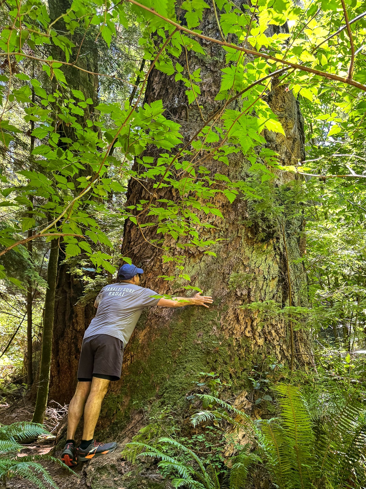 Mike hugging a Juniper tree.