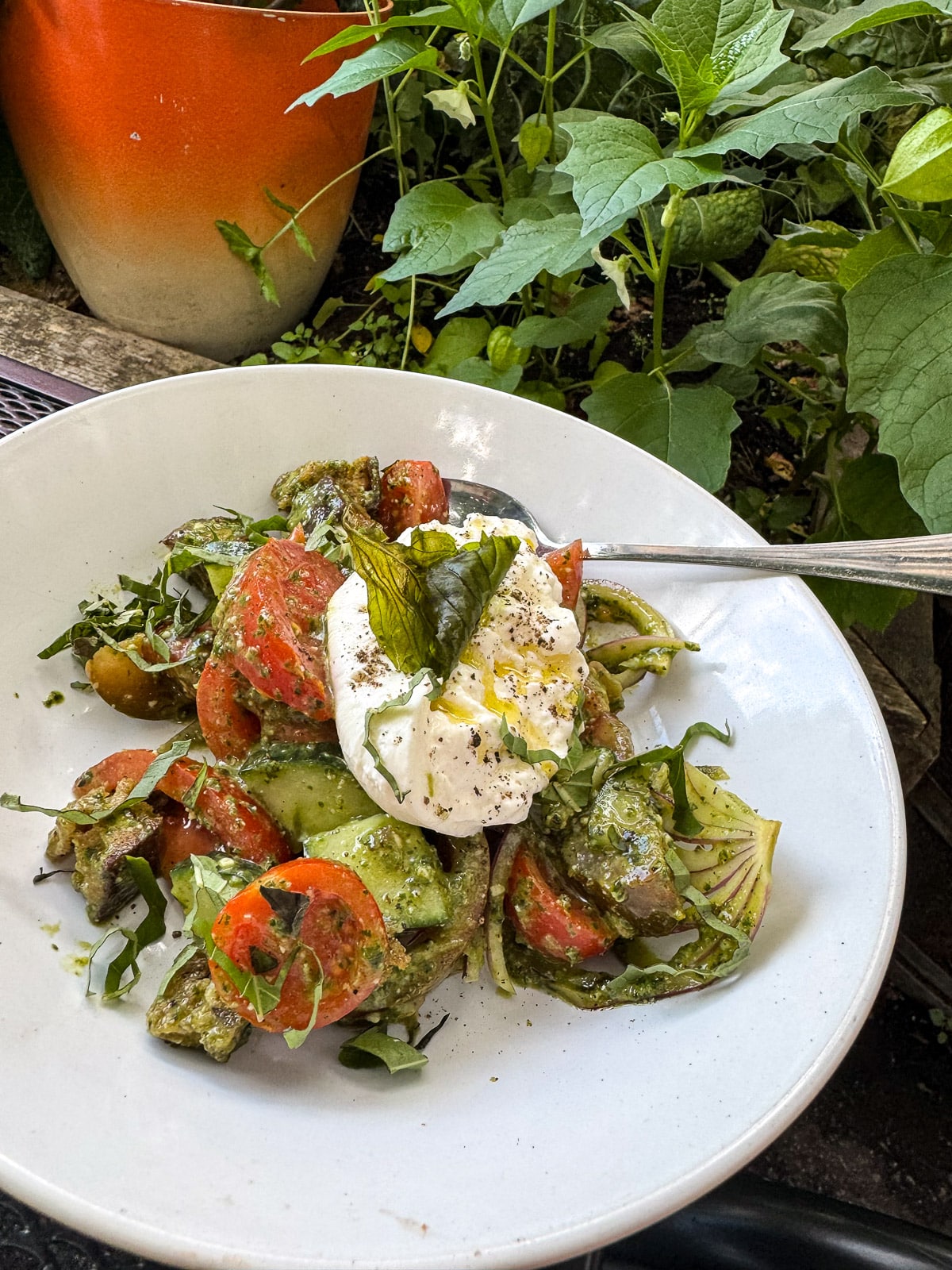 Our summer panzanella salad at Orto.
