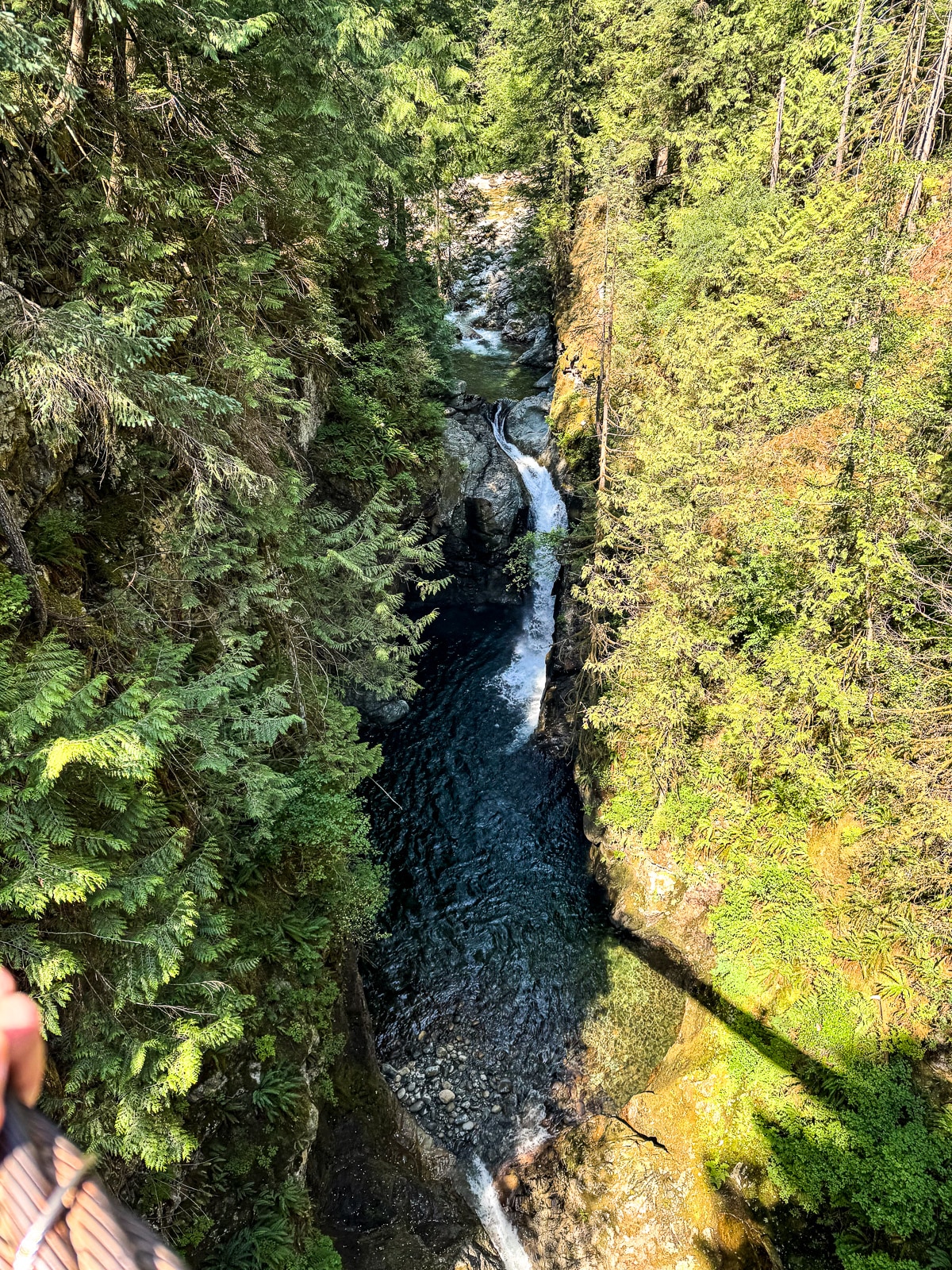 The valley beneath the suspension bridge.