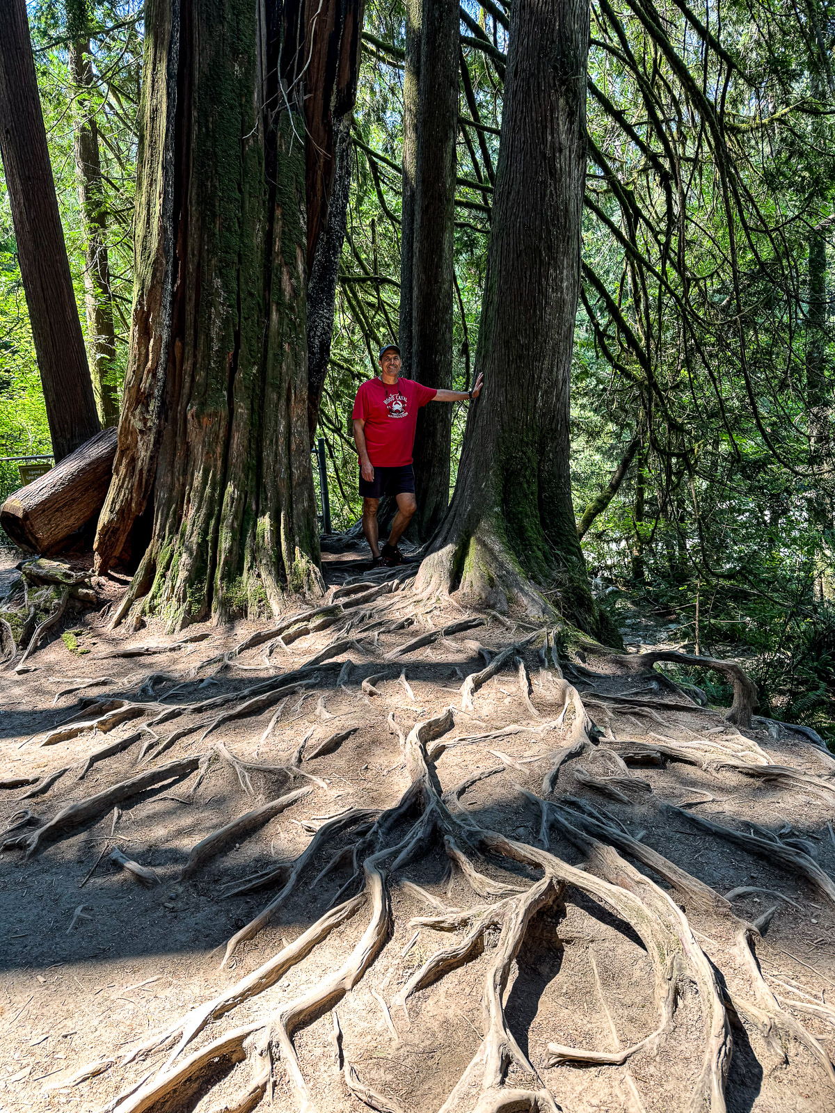 Mike by the trees with huge sprawling roots.
