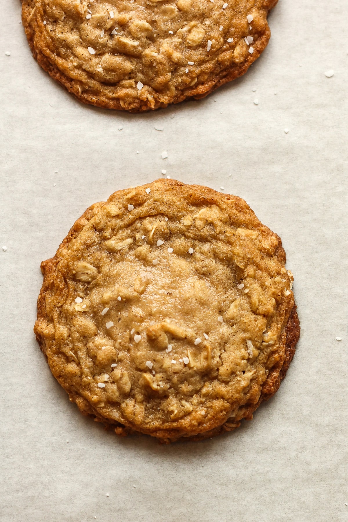 Closeup on a cookie right after baking.