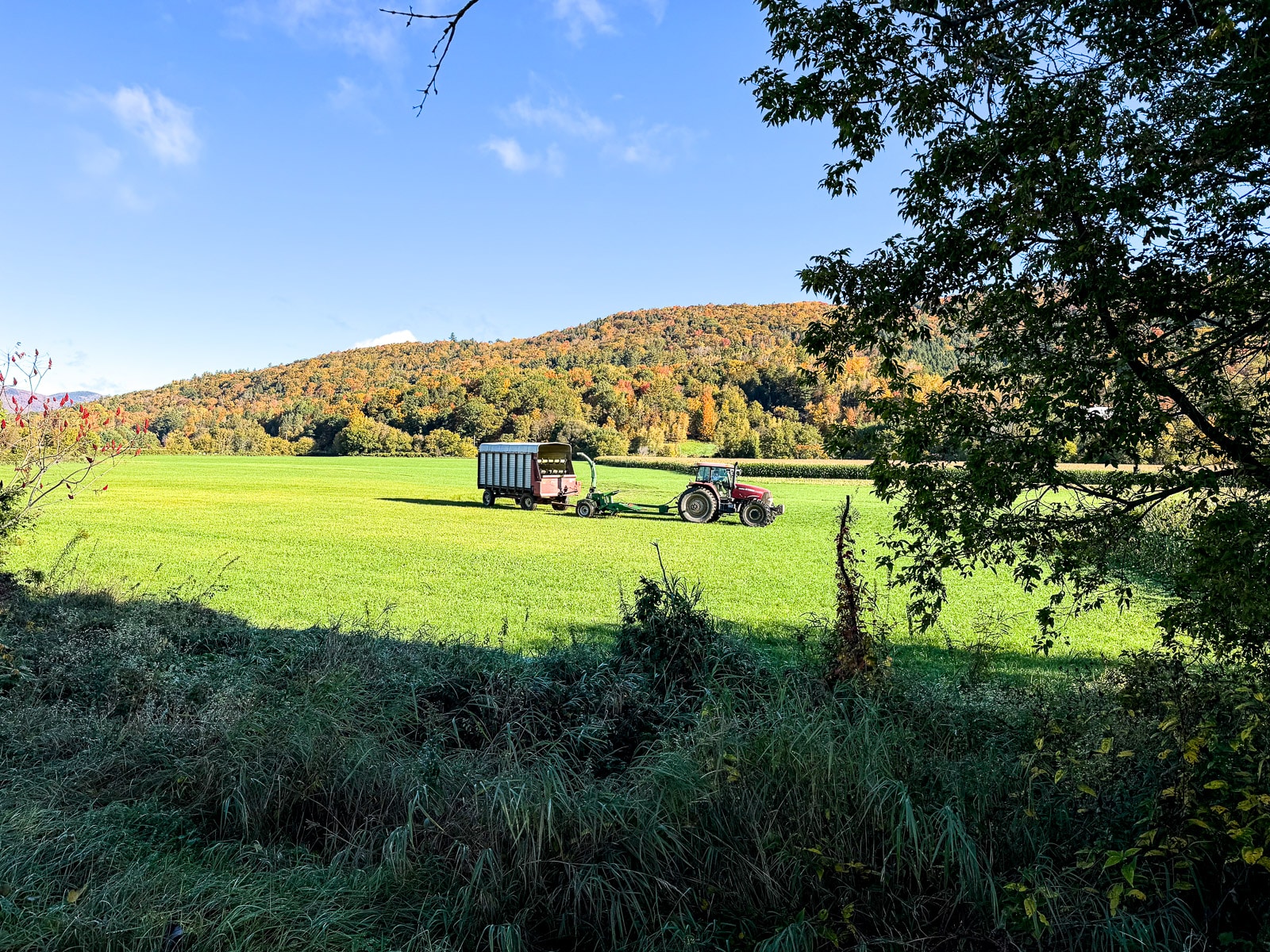 A tractor and trailer on some grass in front of beautiful trees.