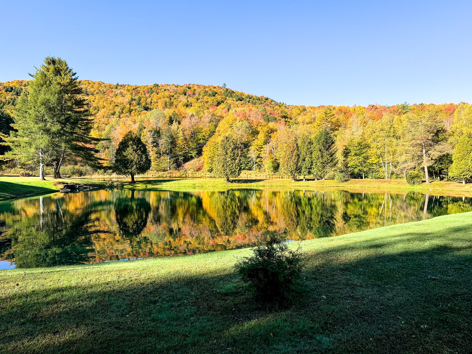A view of a pond in front of fall foliage.