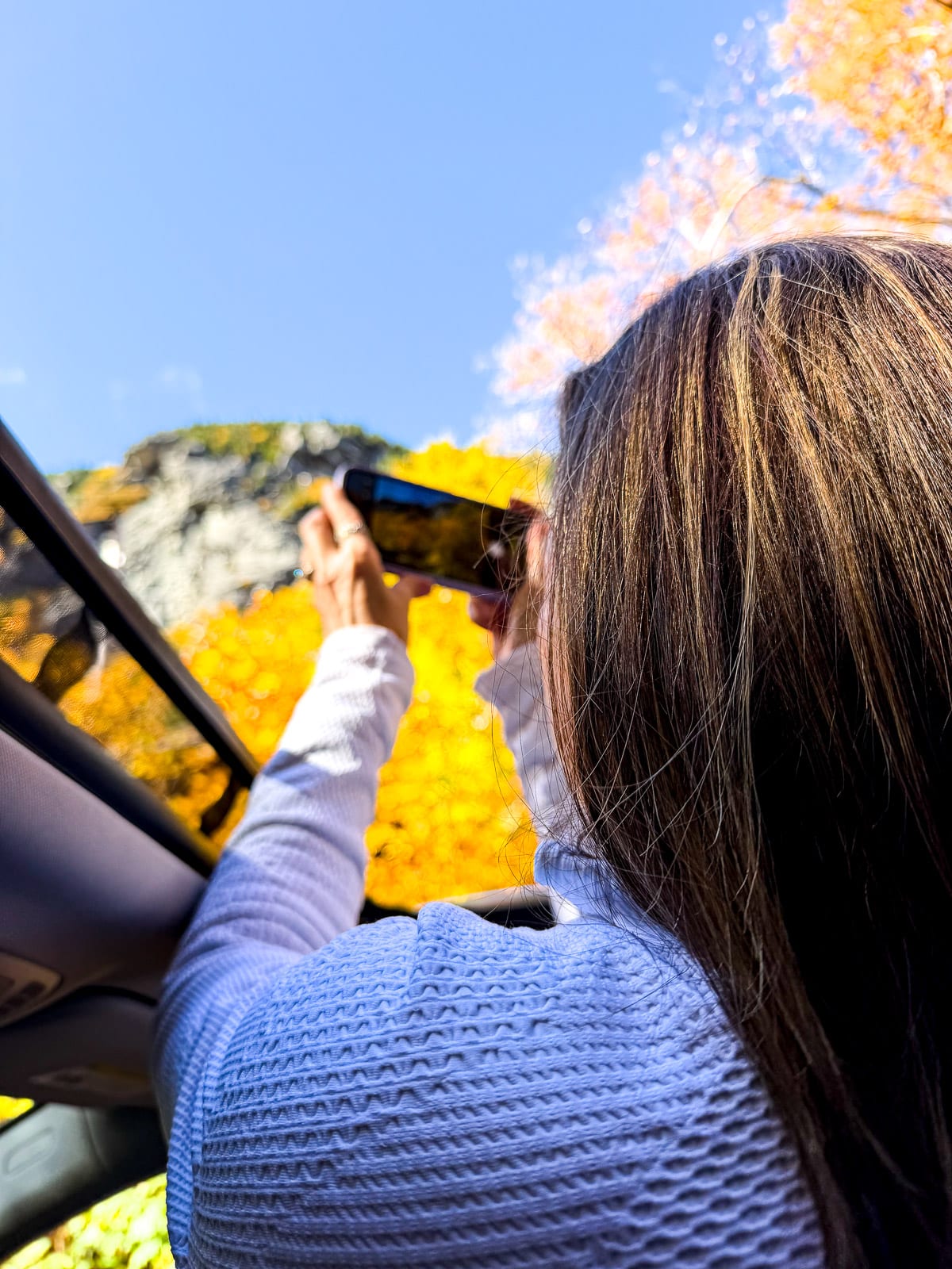 Sue taking a pic of foliage out the sunroof.