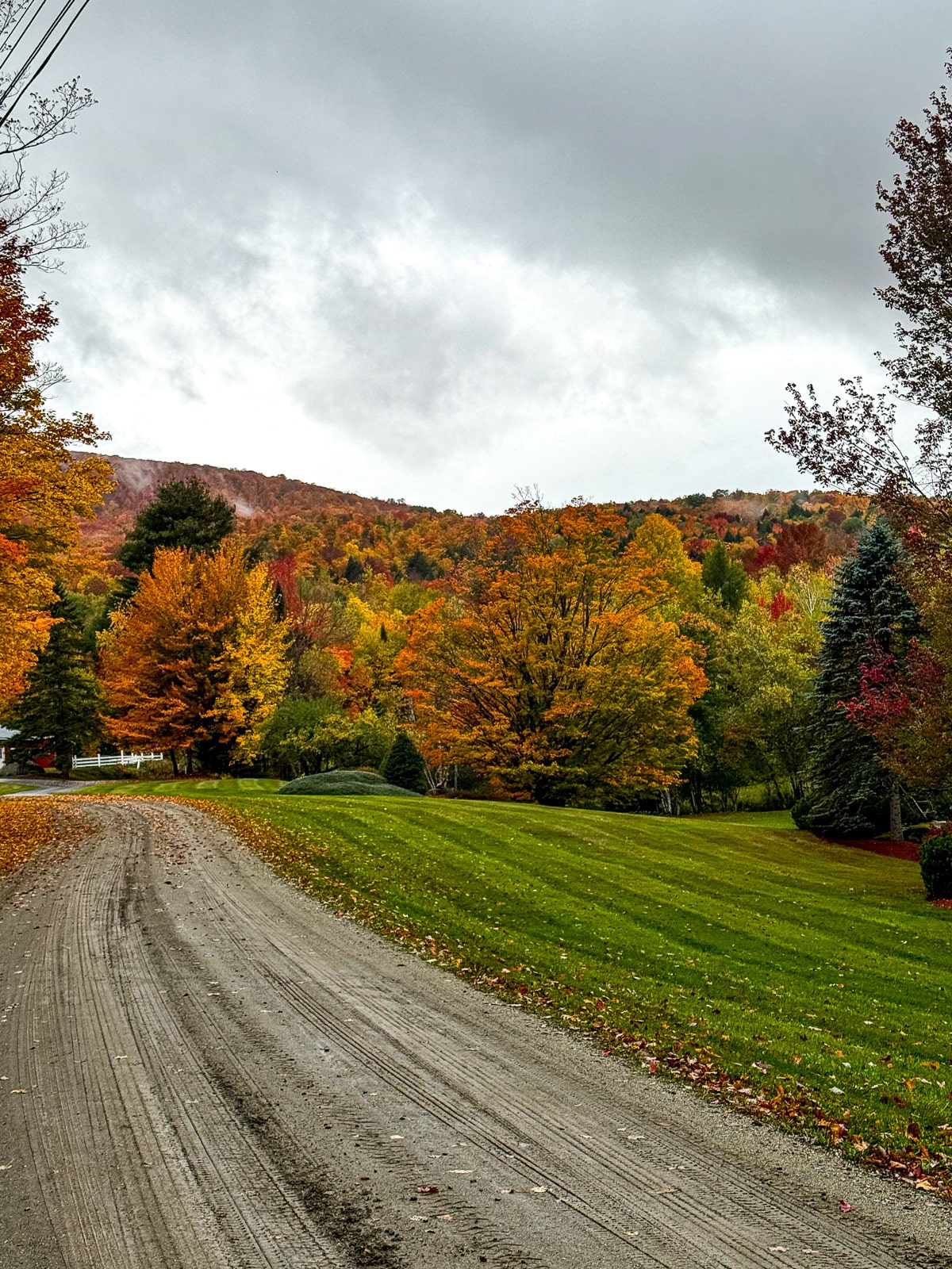 A dirt road with beautiful colorful trees.