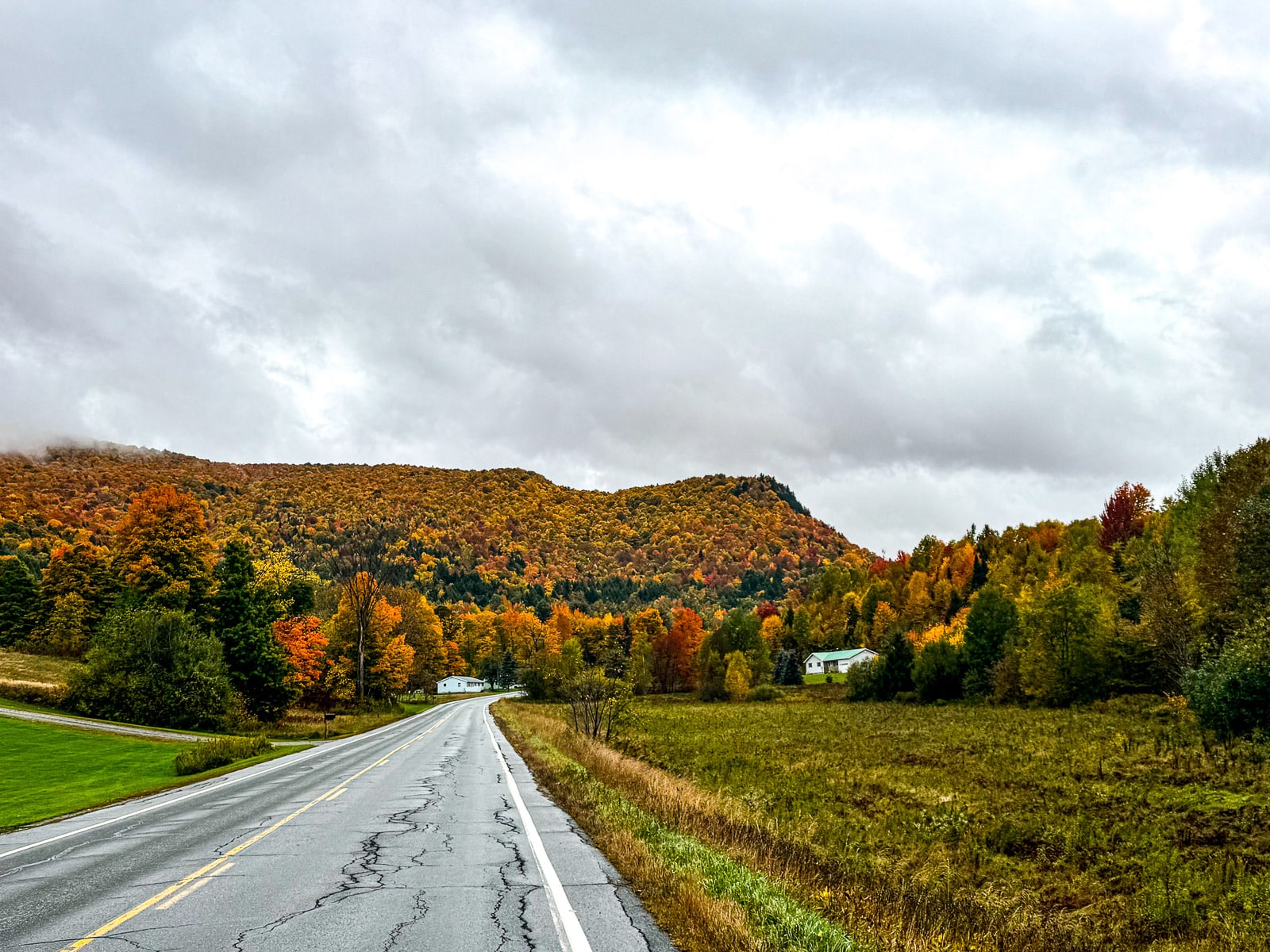 Our drive showing fall foliage along the roadside.