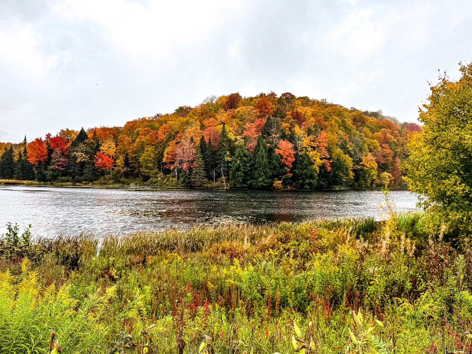 View of a lake with beautiful trees in the background.